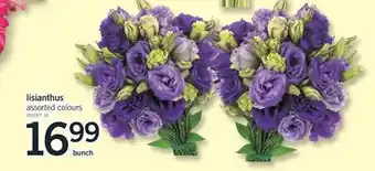 Fortinos LISIANTHUS offer