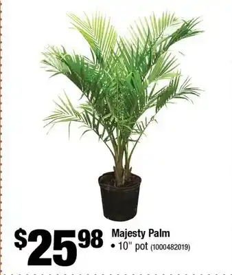 Home Depot Majesty Palm offer