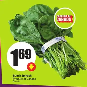Chalo FreshCo Bunch Spinach Product of Canada offer