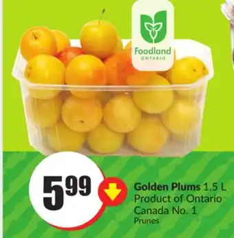 Chalo FreshCo Golden Plums 1.5 L Product of Ontario Canada No. 1 offer