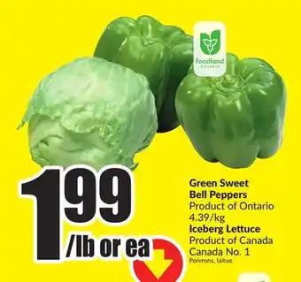 FreshCo Green Sweet Bell Peppers ` offer