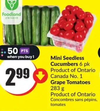 Chalo FreshCo Mini Seedless Cucumbers 6 pk Product of Ontario Canada No. 1 Grape Tomatoes 283 g Product of Ontario offer