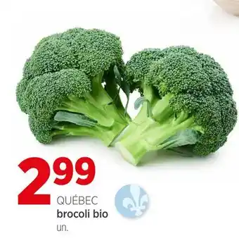 Avril BROCOLI BIO offer