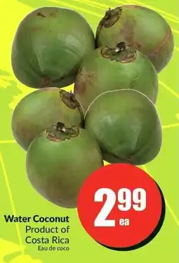 FreshCo Water Coconut offer