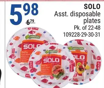 Rossy Solo Asst. disposable plates offer