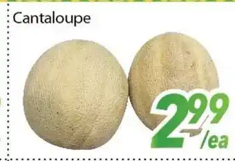 Bestco Food Mart Cantaloupe offer