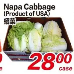 Napa Cabbage
