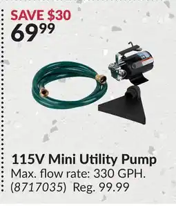 Princess Auto 115V Mini Utility Pump offer