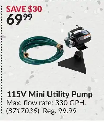 Princess Auto 115V Mini Utility Pump offer