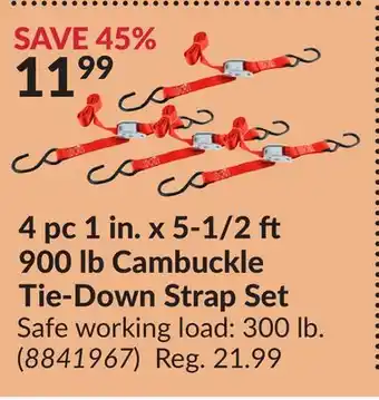 Princess Auto 4 pc 1 in. x 5-1/2 ft 900 lb Cambuckle Tie-Down Strap Set offer