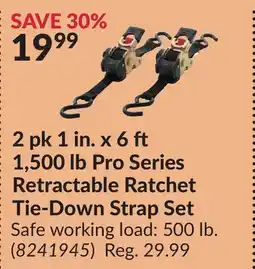 Princess Auto 2 pk 1 in. x 6 1,500 lb Pro Series Retractable Ratchet Tie-Down Strap Set offer