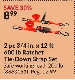 Princess Auto 600 Ratchet Tie-Down Strap Set offer