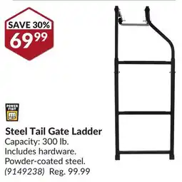 Princess Auto Steel Tail Gate Ladder offer