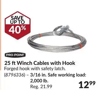 Princess Auto 25 ft Winch Cables with Hook offer