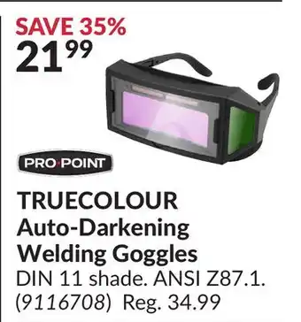 Princess Auto TRUECOLOUR Auto-Darkening Welding Goggles offer