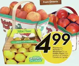 Sobeys Peaches 3 L, Apricots 1 L, Nectarines 2 L or Golden Plums 1.5 L offer