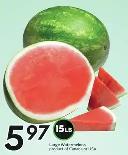 Sobeys Large Watermelons offer