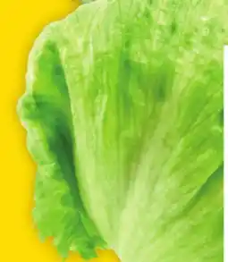 Giant Tiger Iceberg lettuce offer