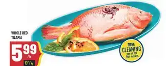 Marché Adonis WHOLE RED TILAPIA offer