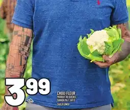 Metro CHOU-FLEUR | CAULIFLOWER offer