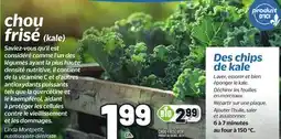 Metro CHOU FRISÉ VERT | GREEN KALE offer