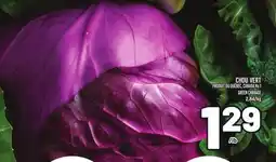 Metro CHOU VERT | GREEN CABBAGE offer