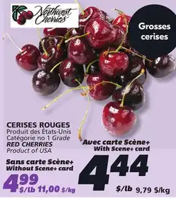 IGA RED CHERRIES offer