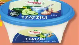 IGA FONTAINE SANTÉ TZATZIKI offer