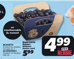 IGA BLUEBERRIES offer