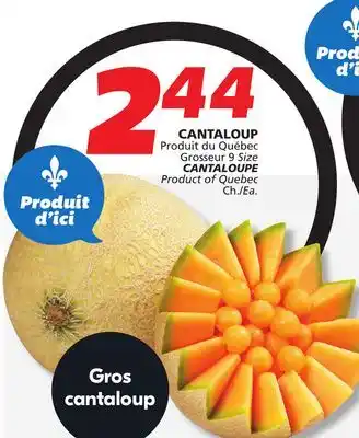 IGA CANTALOUPE offer