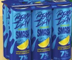 IGA BEACH DAY EVERY DAY ALCOHOLIC MALT BEVERAGE offer