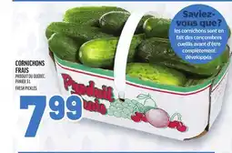 Metro CORNICHONS FRAIS | FRESH PICKLES offer