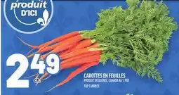 Metro CAROTTES EN FEUILLES | TOP CARROTS offer