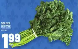 Metro CHOU FRISÉ VERT (KALE) | GREEN KALE offer