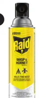 Canadian Tire Raid Wasp & Hornet Insect Killer Spray, 400g offer