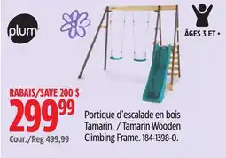 Canadian Tire Plum Tamarin Wooden Climbing Frame offer