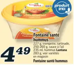 Marché Richelieu FONTAINE SANTÉ HUMMUS | FONTAINE SANTÉ HUMMUS offer