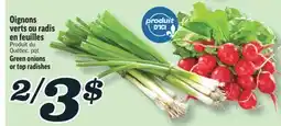 Marché Richelieu OIGNONS VERTS OU RADIS EN FEUILLES | GREEN ONIONS OR TOP RADISHES offer