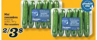 Marché Richelieu MINI CONCOMBRES | MINI CUCUMBERS offer