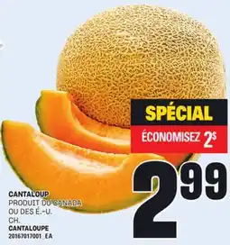 Provigo CANTALOUP, CH offer