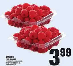 Provigo QUEBEC FRAMBOISES, 170 G offer