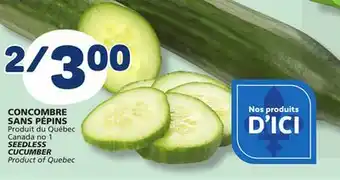Marché Bonichoix SEEDLESS CUCUMBER offer