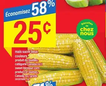 Maxi MAÏS SUCRÉ DEUX COULEURS offer