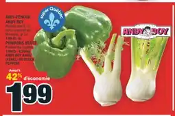Super C ANIS-FENOUIL ANDY BOY | ANDY BOY ANISE (FENEL) OR GREEN PEPPERS offer