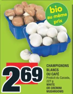 Super C CHAMPIGNONS BLANCS OU CAFÉ | WHITE OR CREMINI MUSHROOMS offer