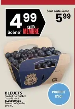 Rachelle-Bery Grocery BLUEBERRIES offer