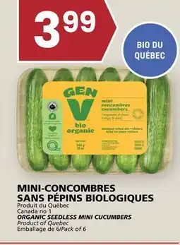 Rachelle-Bery Grocery ORGANIC SEEDLESS MINI CUCUMBERS offer