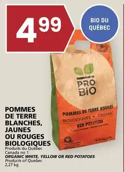 Rachelle-Bery Grocery ORGANIC WHITE, YELLOW OR RED POTATOES offer