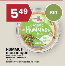 Rachelle-Bery Grocery FONTAINE SANTÉ ORGANIC HUMMUS offer
