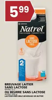 Rachelle-Bery Grocery NATREL (250 g) LACTOSE-FREE MILK BEVERAGE OR BUTTER offer